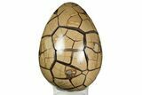 Bargain, Polished Dragon Egg Puzzle Geode - Black Crystals #191441-1